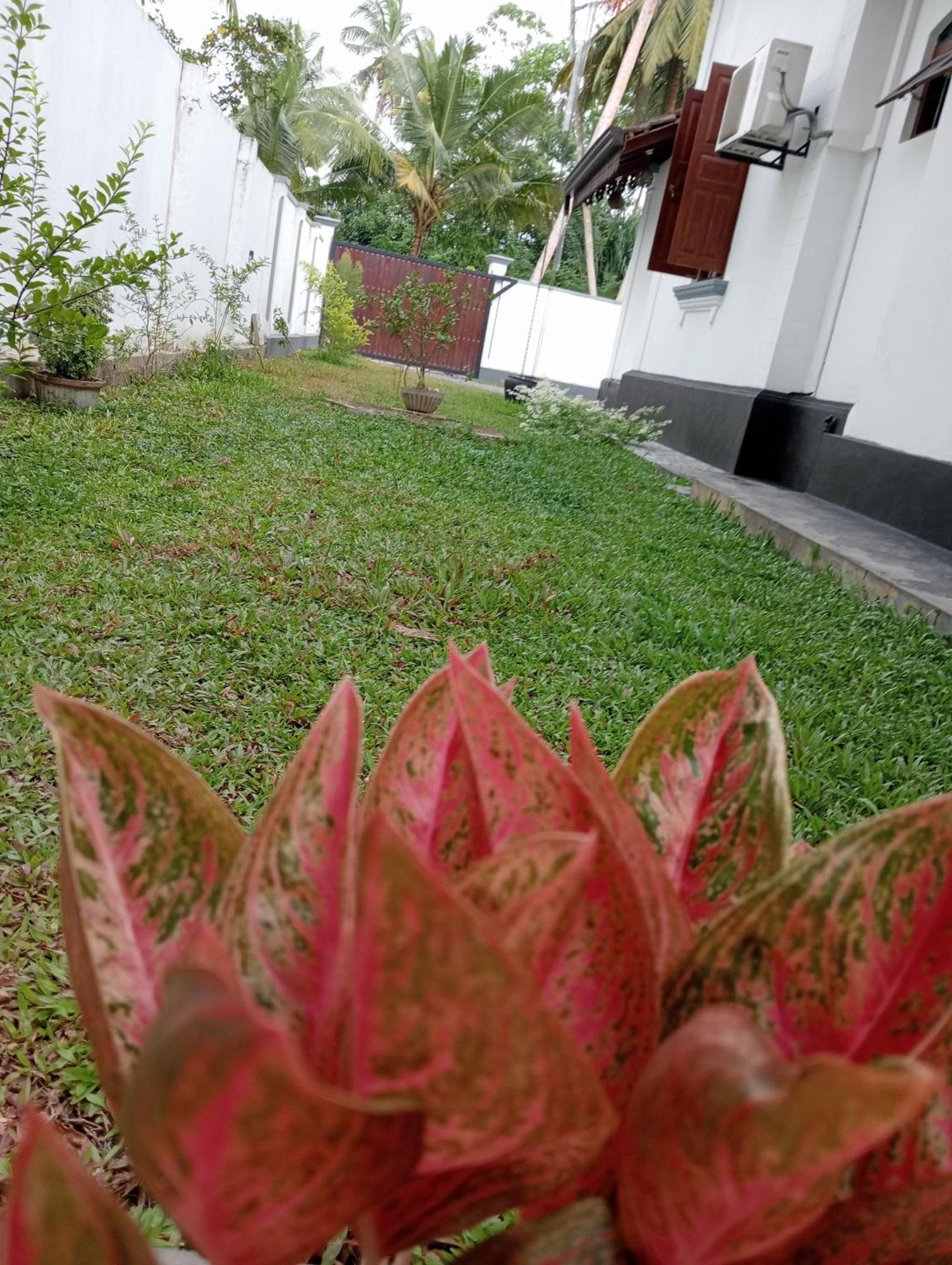 Ranagiri Relaxing Bungalow Бентота Екстериор снимка